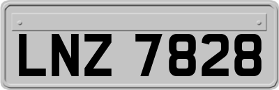 LNZ7828