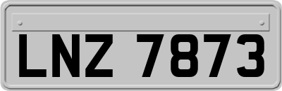 LNZ7873