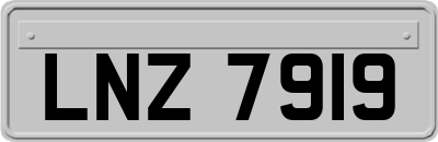 LNZ7919