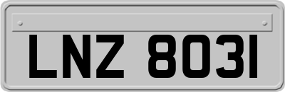LNZ8031