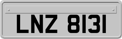LNZ8131