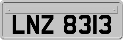 LNZ8313