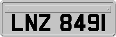LNZ8491