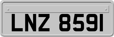 LNZ8591