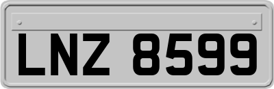 LNZ8599
