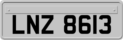 LNZ8613