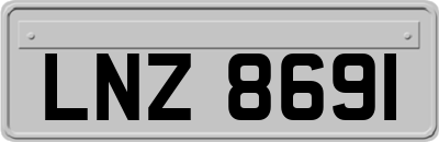 LNZ8691