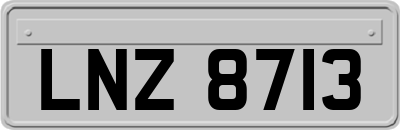 LNZ8713