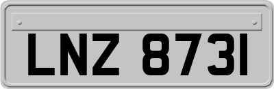 LNZ8731
