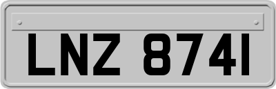LNZ8741
