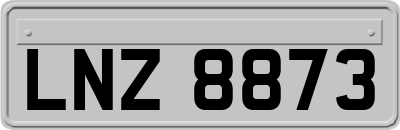 LNZ8873