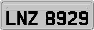 LNZ8929