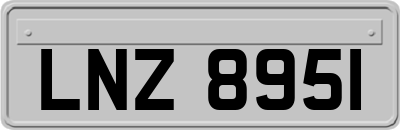 LNZ8951