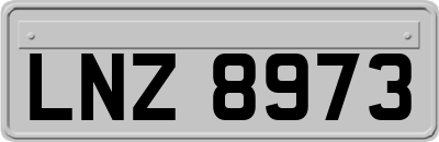 LNZ8973