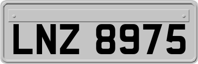 LNZ8975
