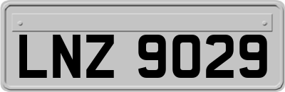 LNZ9029