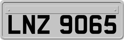 LNZ9065
