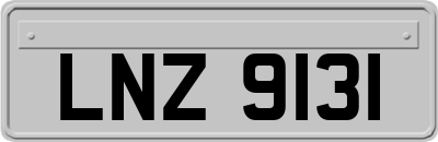 LNZ9131