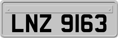 LNZ9163