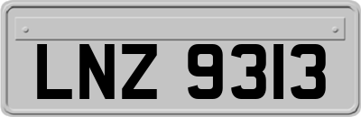LNZ9313