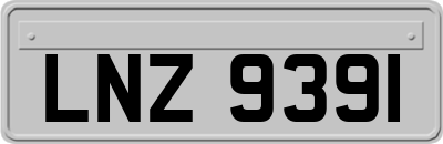 LNZ9391