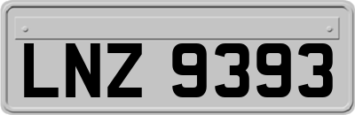 LNZ9393