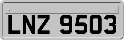 LNZ9503