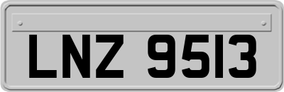 LNZ9513
