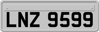 LNZ9599