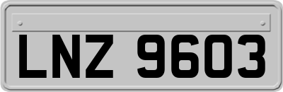 LNZ9603