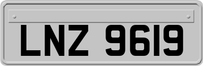 LNZ9619