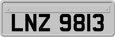 LNZ9813