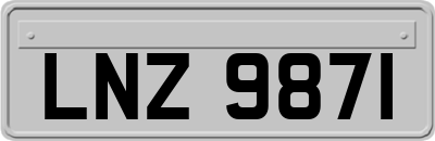 LNZ9871