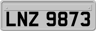 LNZ9873