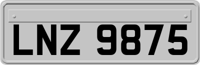 LNZ9875