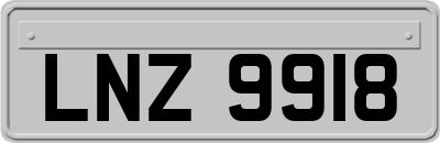 LNZ9918
