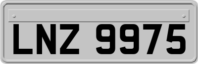 LNZ9975