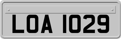 LOA1029