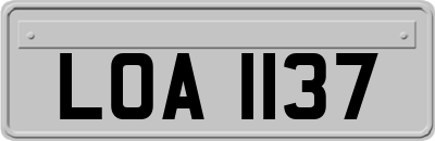 LOA1137