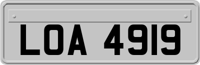 LOA4919