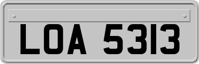 LOA5313