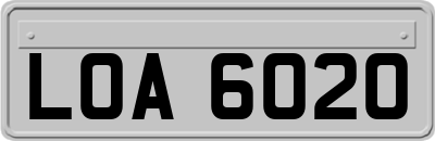 LOA6020