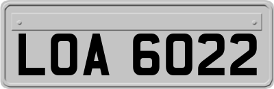 LOA6022
