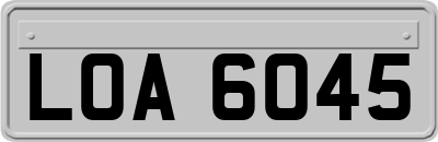 LOA6045
