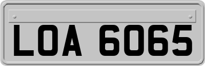 LOA6065