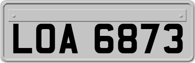 LOA6873