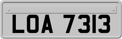 LOA7313