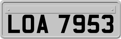 LOA7953