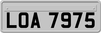 LOA7975