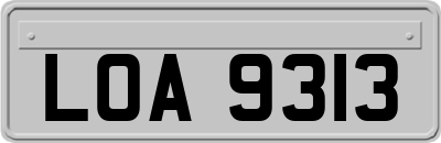LOA9313